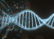 Genetics and alcohol